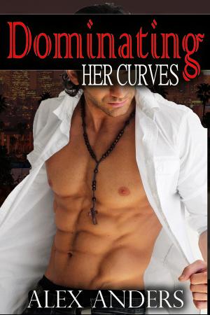 Cover of the book Dominating Her Curves by A. Anders