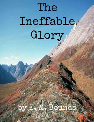 Cover of the book The Ineffable Glory: Thoughts on the Resurrection by Beverly Carradine