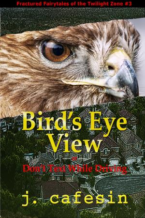 Book cover of Bird's Eye View