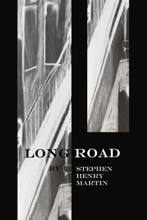 Book cover of Long Road by Steven Henry Martin