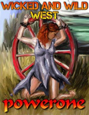 Cover of the book WICKED AND WILD WEST by Jay Lawrence