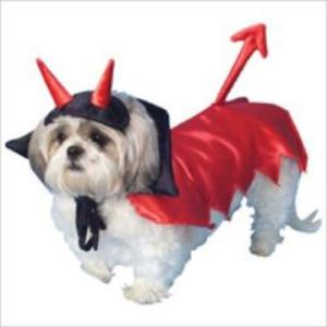 Cover of the book Popular Pet Halloween Costumes by Luis Timms