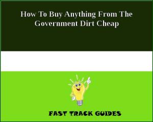 Cover of the book How To Buy Anything From The Government Dirt Cheap by Alexey