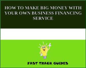 Cover of the book HOW TO MAKE BIG MONEY WITH YOUR OWN BUSINESS FINANCING SERVICE by Dr.YKK