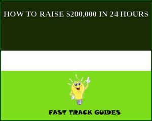 Book cover of HOW TO RAISE $200,000 IN 24 HOURS