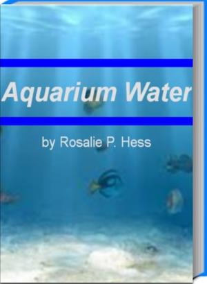 Cover of the book Aquarium Water by Brigitte Williams