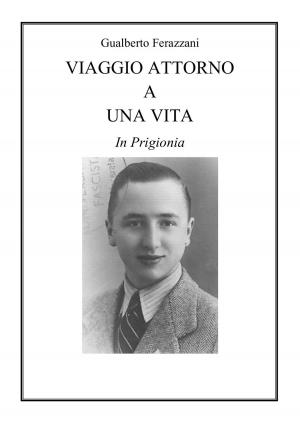 Cover of the book VIAGGIO ATTORNO A UNA VITA by Lucille Orr