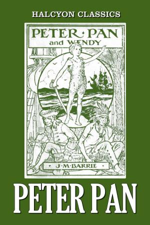 Cover of the book Peter Pan by Frances Hodgson Burnett
