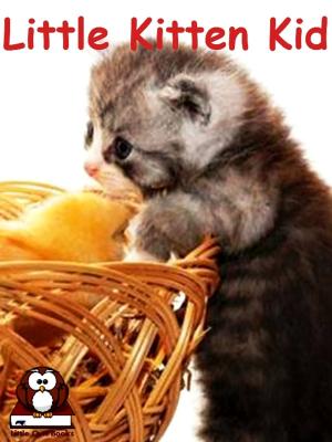 Book cover of Little Kitten Kid