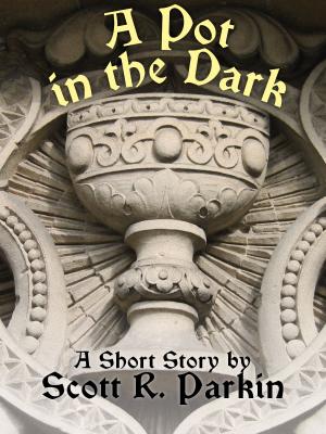 Cover of the book A Pot in the Dark by Rowan Blair Colver