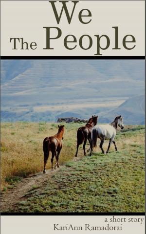 Cover of the book We the People by Marc Schroeder