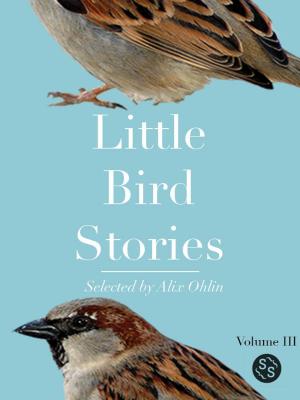 Book cover of Little Bird Stories