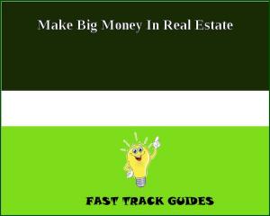 Cover of Make Big Money In Real Estate