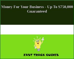 Book cover of Money For Your Business - Up To $750,000 Guaranteed