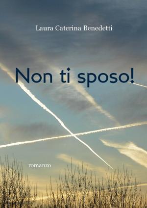 Book cover of Non ti sposo!