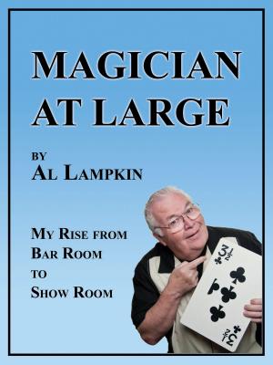 Cover of the book Magician at Large by Catherine Sevenau