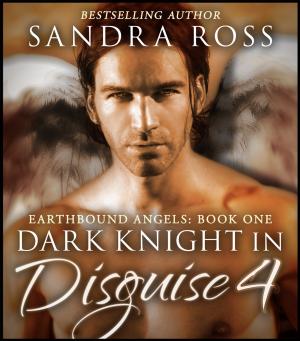 Cover of the book Dark Knight In Disguise IV by Eden Laroux