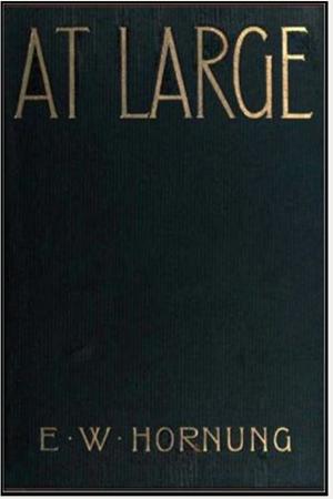 Cover of the book At Large by C. S. Montayne