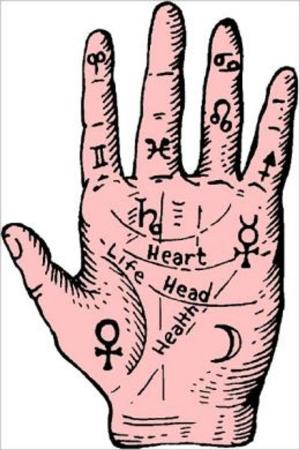 Book cover of The Essential Guide to Palmistry For Beginners