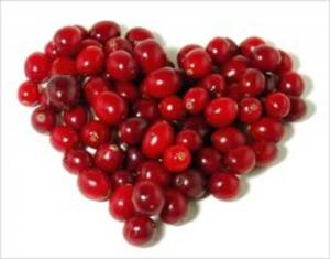 bigCover of the book The Secret Health Benefits of Cranberries by 