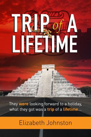 Cover of the book Trip of a lifetime by C.L. Hunter