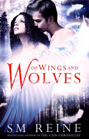 Cover of the book Of Wings and Wolves by Aammton Alias