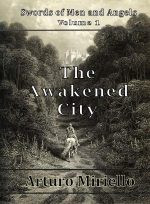 Book cover of The Awakened City