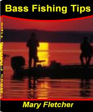 Cover of the book Bass Fishing Tips by April McKinnon