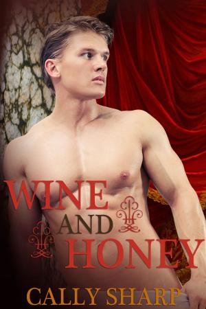 Book cover of Wine and Honey (The Roman Boy, Book 2)