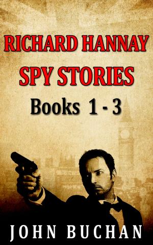 bigCover of the book Richard Hannay [Spy Stories] [Books 1 - 3] [Book Set] by 