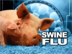 Book cover of What You Need To Know About Swine Flu: History, Treatment and Prevention