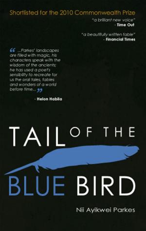 Cover of Tail of the Blue Bird