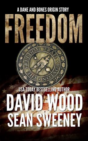 Cover of the book Freedom by Steven Savile, steve lockley