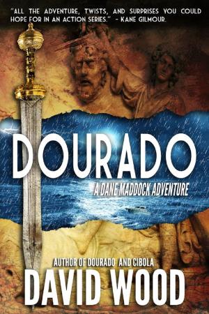 Cover of the book Dourado by FRANCK GORDON