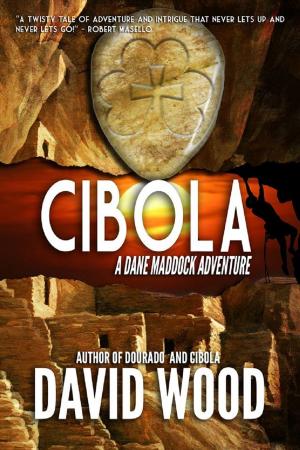 Book cover of Cibola