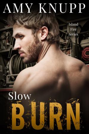 Cover of the book Slow Burn by Sara Hubbard