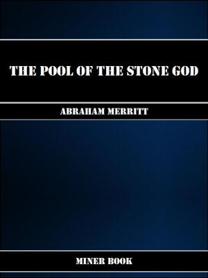 Book cover of The Pool of the Stone God
