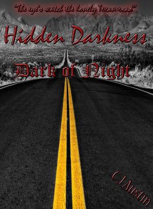 Cover of the book Hidden Darkness by Stuart Moore