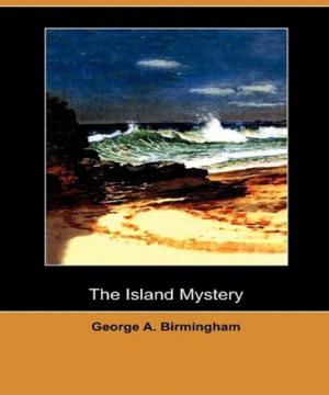 bigCover of the book The Island Mystery by 