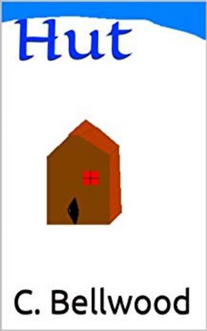 Cover of the book Hut by Sandra Léo