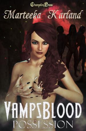 bigCover of the book Possession (Vampsblood) by 