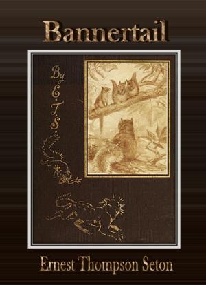 Cover of the book Bannertail by Emerson Hough