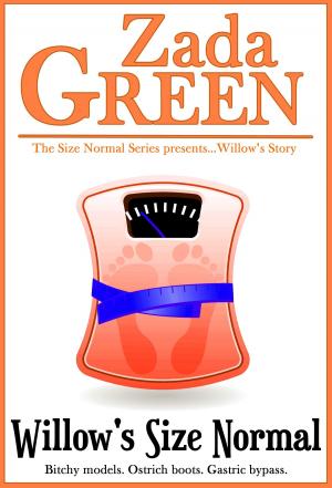 Cover of the book Willow's Size Normal by Paul Chapman