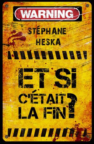 Cover of the book Et si c'était la fin ? by Naomi Clark