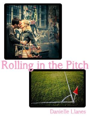 Cover of the book Rolling in the Pitch by C. A. Knoble
