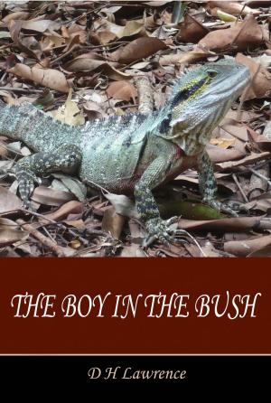 Cover of the book The Boy in the Bush by Charlotte Brontë, Anne Brontë, Patrick Brontë, Emily   Brontë
