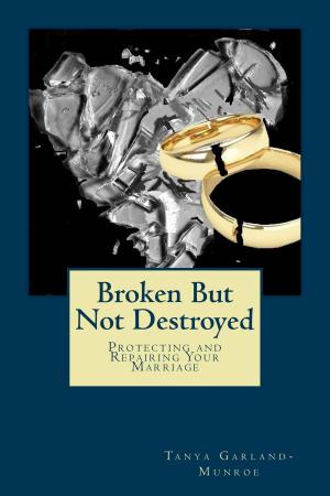 Cover of the book Broken But Not Destroyed by Tanya E. Munroe
