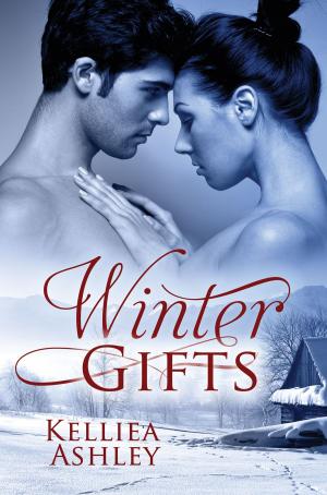 Cover of the book Winter Gifts by Toby Aden