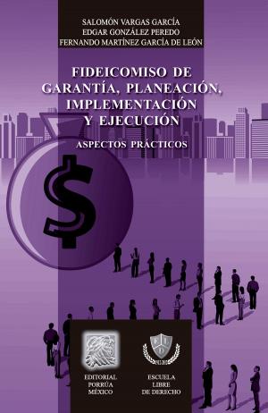 Cover of the book Fideicomiso de garantía, planeación, implementación y ejecución: Aspectos prácticos by Javier Malpica
