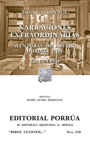 Cover of the book Narraciones extraordinarias - Aventuras de Arturo Gordon Pym - El Cuervo by L. Rigdon